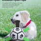 Dog Soccer Ball - with pump