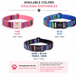 Personalized Dog Collar