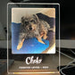 Personalized Pet Commemorative Plaque
