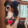 dog plaid bandana with heart