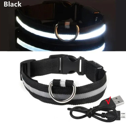 LED Dog Collar