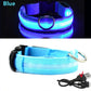 LED Dog Collar
