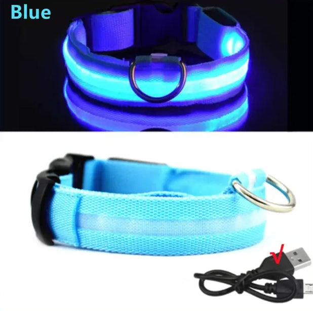 LED Dog Collar DogBudz