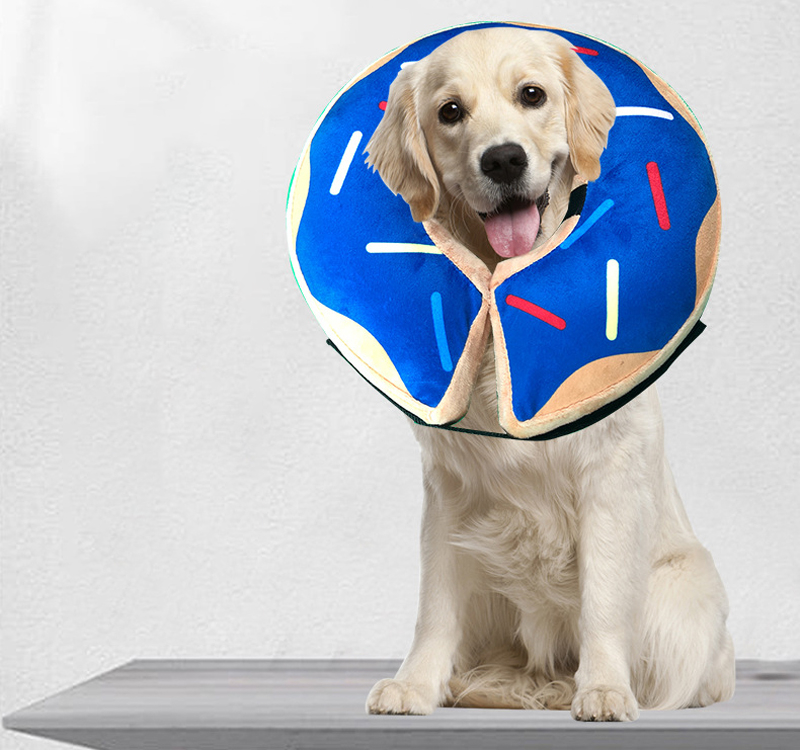 Inflatable Pet Recovery Donut Collar DogBudz