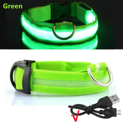 LED Dog Collar