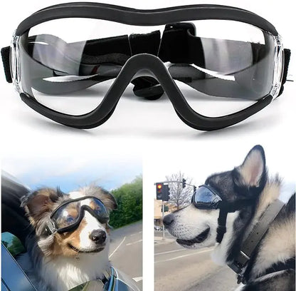 Goggles for Medium to Large Dogs