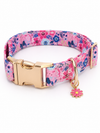 Personalized Dog Collar