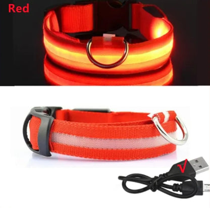 LED Dog Collar