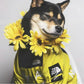 Hooded ''the dog face'' raincoat/windbreaker
