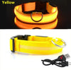 LED Dog Collar